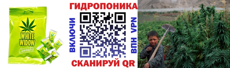 Canna-Cookies конопля блэк спрут как зайти Искитим