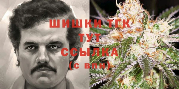 крисы Зеленокумск