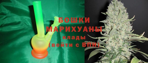 крисы Зеленокумск